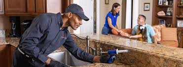 Best Termite Inspection and Treatment  in North Mankato, MN