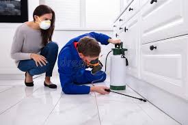 Best Real Estate Pest Inspections  in North Mankato, MN